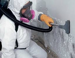 Why You Should Choose Our Mold Remediation Services in Grafton, OH